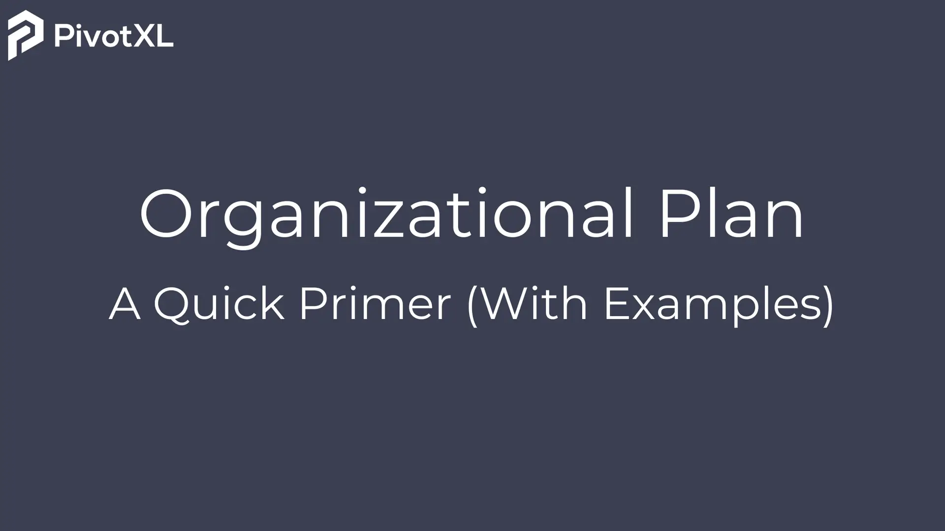 Organizational Plan