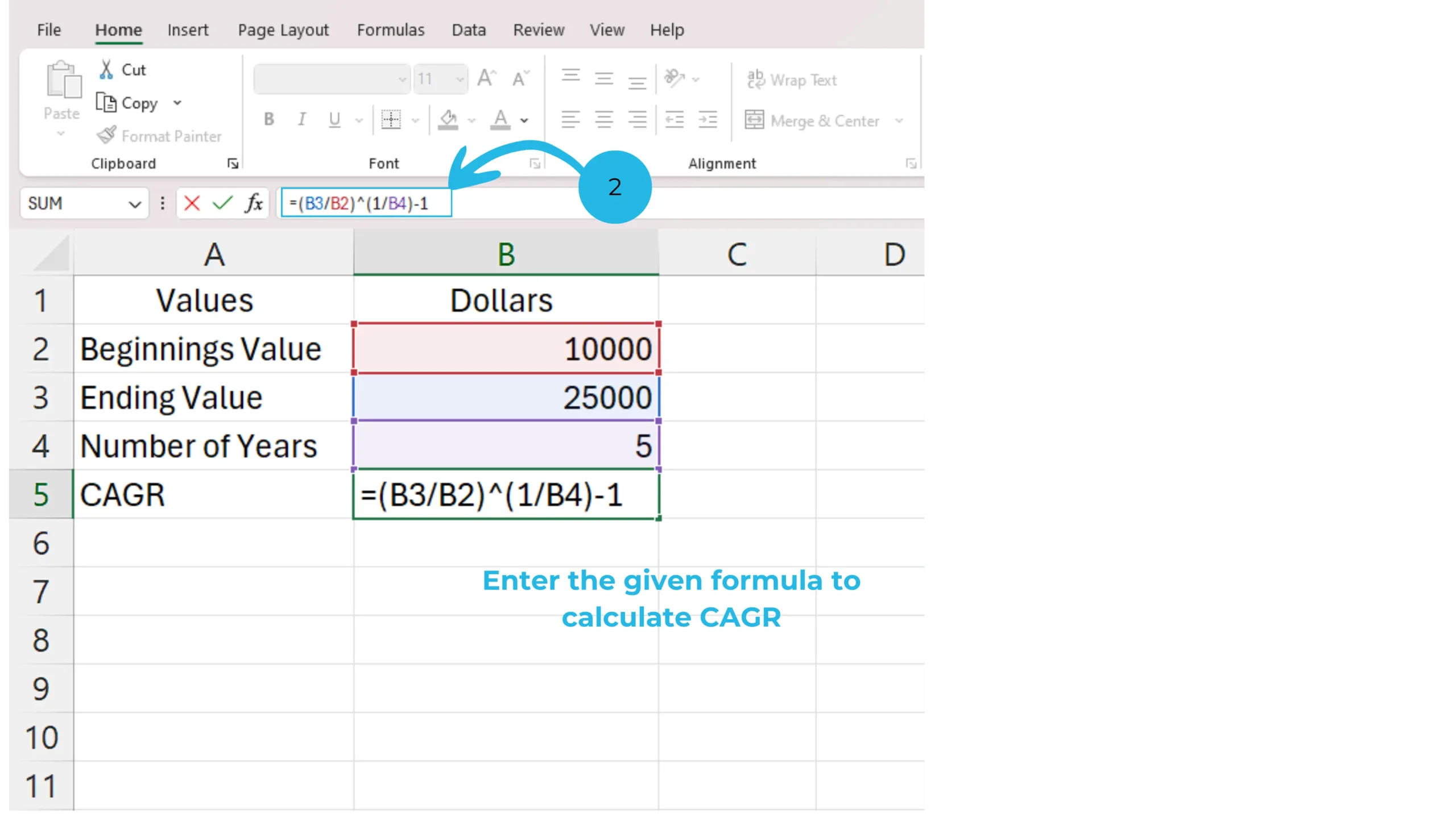 enter the formula for CAGR